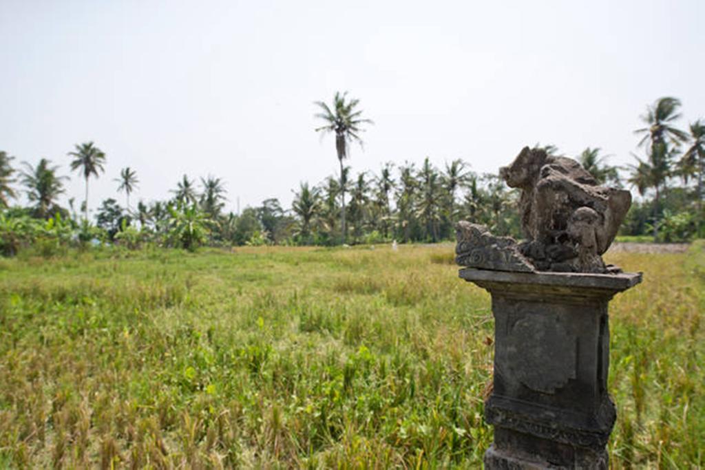 Villa Nyoman Ubud Exterior photo